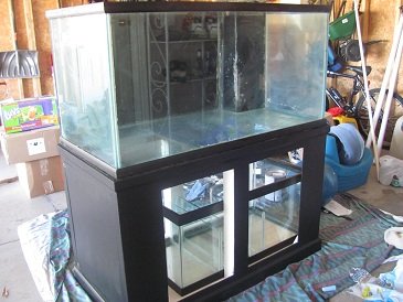 IMG_6434.JPG