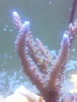 20120803_191508.jpg