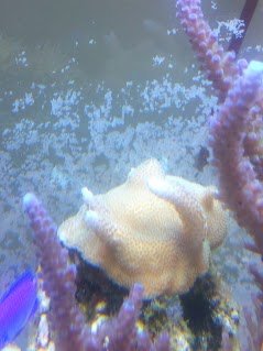 20120803_191541.jpg