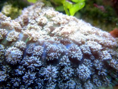 IMG_1933 [1024x768].jpg