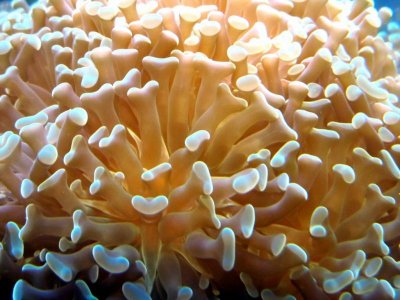 IMG_1937 [1024x768].jpg