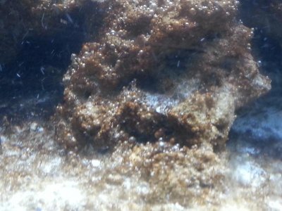 20120905_184452.jpg