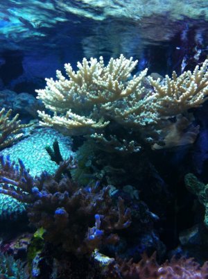 photo 1.jpg