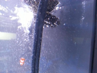 20120911_154402.jpg