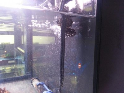 20120911_154318.jpg