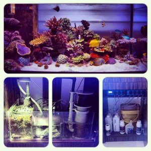 ImageUploadedByTapatalk HD1347397952.841102.jpg