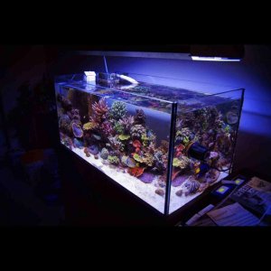 ImageUploadedByTapatalk HD1347397987.057848.jpg