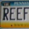 reefguyinpa