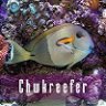 chwkreefer