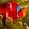 jeffyo
