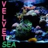 The Velvet Sea