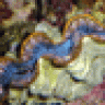 phistio