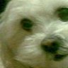 bookey