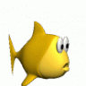 Fishnthecorner