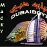 discusdubai