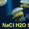 NaCL H2O StL