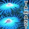 yamant