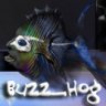 Buzz_Hog