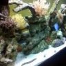 Sotoquatic