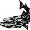 saracuda