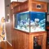 Corona_Reef