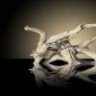 Driftwood58