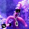 SaltyReefer19