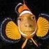 UKReefGeek