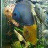 Newb55g