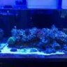 dcd59f