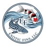 Exoticfinswv