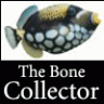 Bone'Collector
