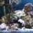 Reefpoints