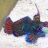 2swift