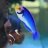 blueray