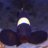 MrKite24