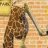 I am a giraffe
