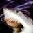 sharks