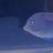 iceman0032935