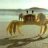 The_Crabman