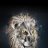 lionheart7525