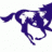 TechStar