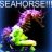seahorse63098