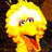 BigBird