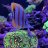 MAquatic24