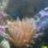 Haleyf1024
