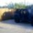Rubicon Beast