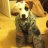 adam.sandor88