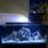Saltwater newby