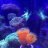 Hella_Reef